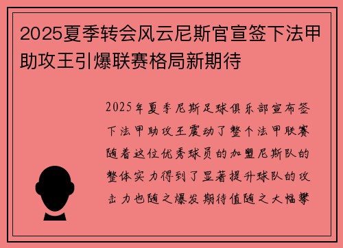 2025夏季转会风云尼斯官宣签下法甲助攻王引爆联赛格局新期待